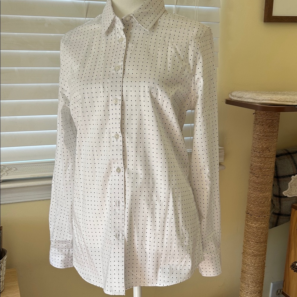 Banana Republic White and Black Button Down Shirt